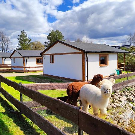 Domek Na Slonecznikowej 切米诺 外观 照片