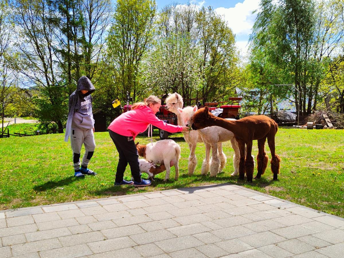Domek Na Slonecznikowej 切米诺 外观 照片